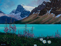 Bow Lake Garden